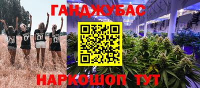 a pvp Гусь-Хрустальный