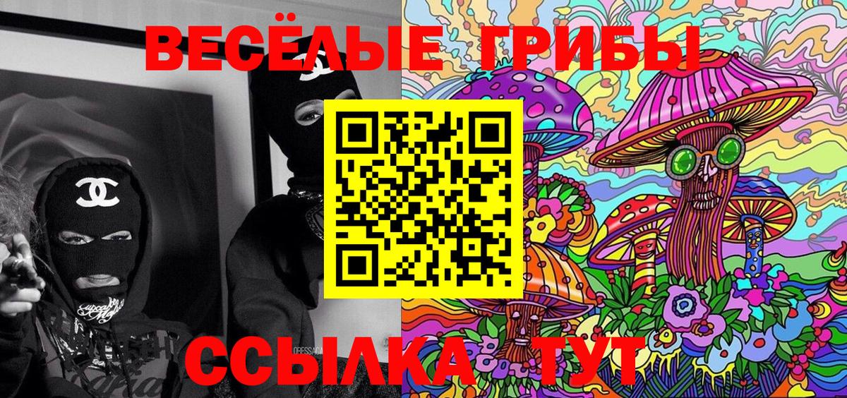 Галлюциногенные грибы Cubensis Минеральные Воды