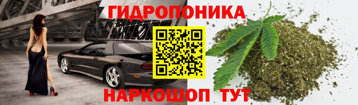 Шишки марихуана планчик Минеральные Воды